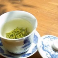 什么是九华佛茶
