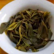 黎平雀舌多少钱一斤