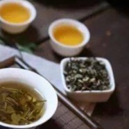 踏雪兰妃多少钱一斤