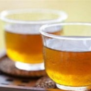 胎菊是凉性还是热性