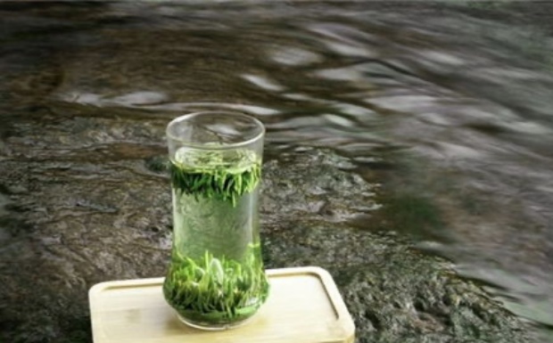 竹叶青茶价格