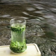 竹叶青茶价格