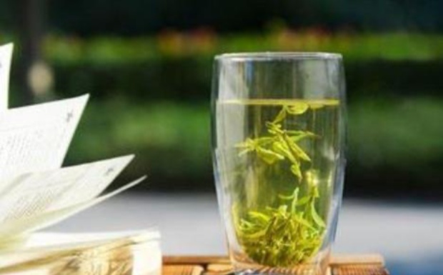 什么是仙人掌茶