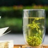 什么是仙人掌茶