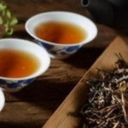 滇红金螺是什么档次的茶