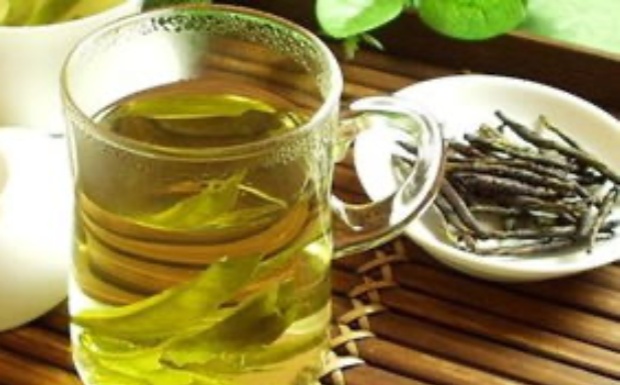 苦丁茶与茶叶的区别.jpg 苦丁茶与茶叶的区别.jpg