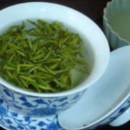 什么是午子仙毫