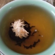 贡菊的典故