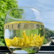 什么是远安黄茶
