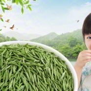 什么是平水珠茶