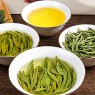蒙顶茶的品种及简介