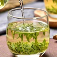麻姑茶怎么泡味道才好