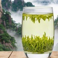 什么是庐山云雾茶