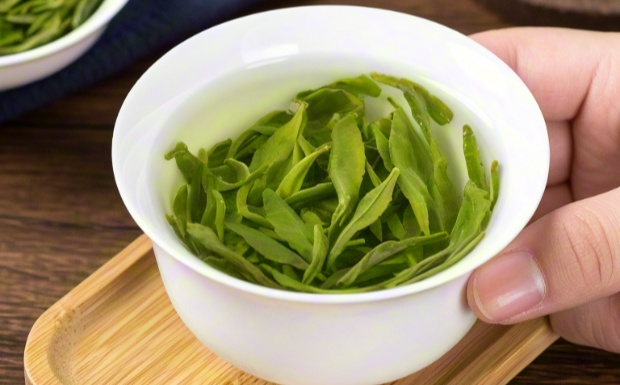 六安瓜片什么茶