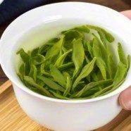 六安瓜片什么茶