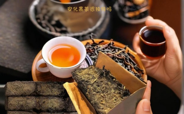 安化黑茶很独特吗