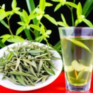 踏雪兰妃茶简介