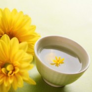 贡菊是什么菊花
