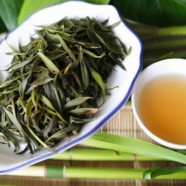 黄竹白毫的生长环境