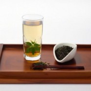 什么是惠明茶