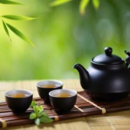 什么是江山绿牡丹