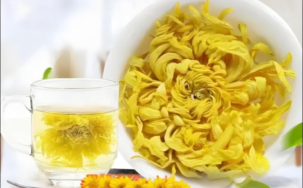 哪些人不能喝金丝皇菊