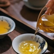 什么是桂东玲珑茶
