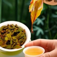 水仙茶的好处和坏处