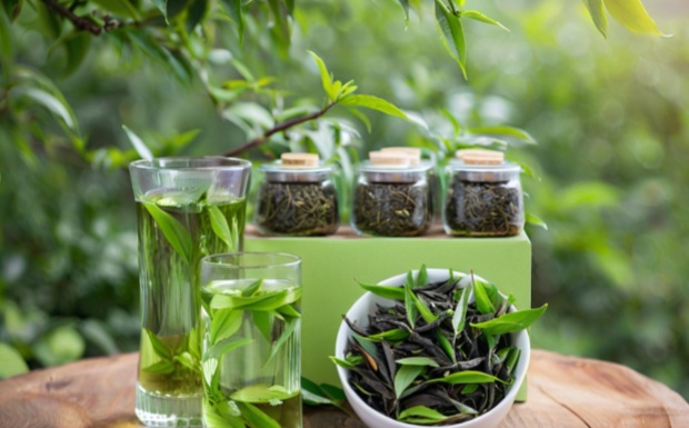 苦丁茶属于哪种茶.jpg 苦丁茶属于哪种茶.jpg