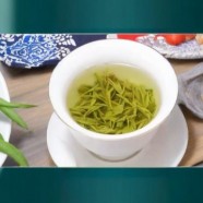 古丈毛尖是什么档次茶