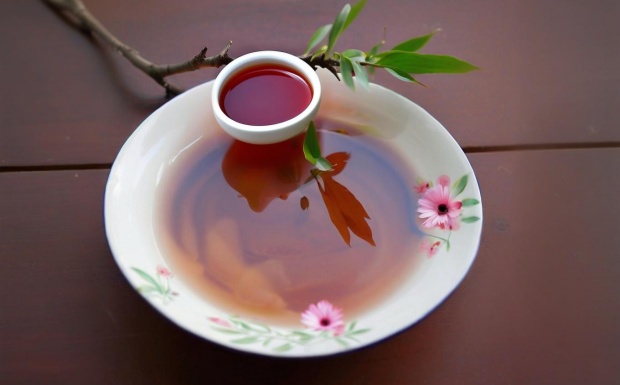 日照红梅茶的口感特点有哪些