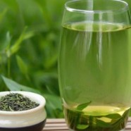 碧螺春的特点
