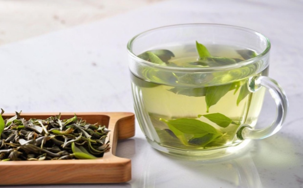 松溪小白茶怎么样