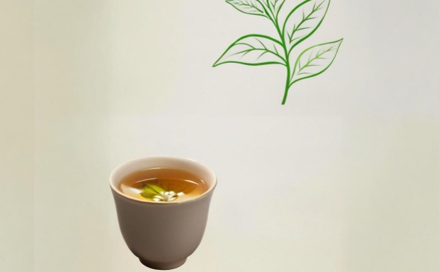 七子饼茶属于什么档次