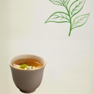 七子饼茶属于什么档次