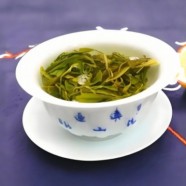 广东大叶青的功能有哪些