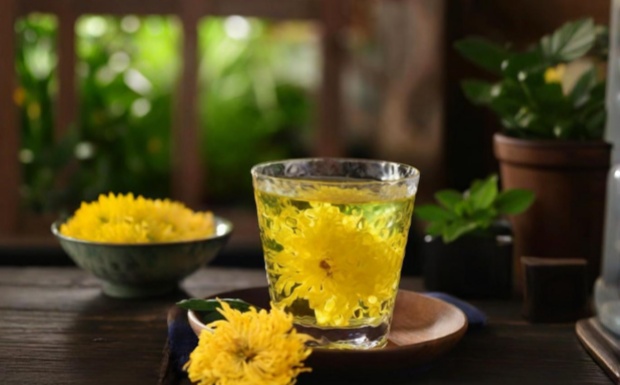 菊花茶效果怎么样