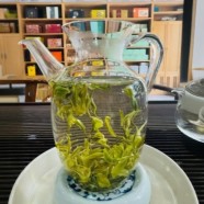 什么是日照绿茶