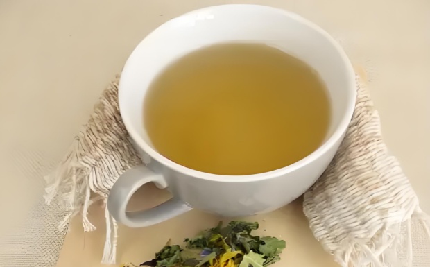 什么是蒲公英茶