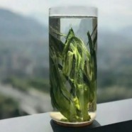 什么是隆中茶