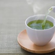 什么是崂山绿茶