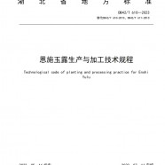 恩施玉露生产与加工技术规程地方标准DB42/T610-2023