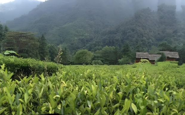 钟山群体.jpg 钟山群体.jpg