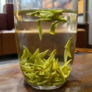 什么是乌牛早茶