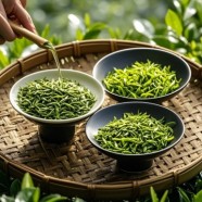 绿茶风味因子的形成过程是什么