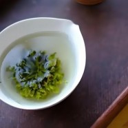 什么是黄山绿牡丹