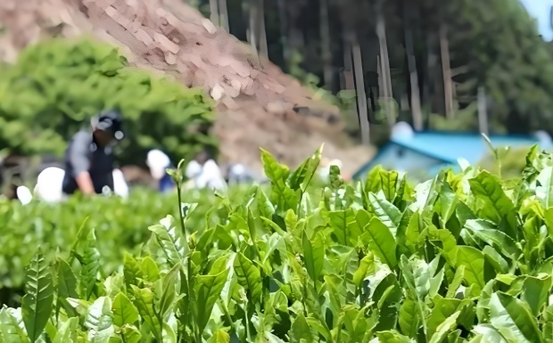 蜀永703.jpg 蜀永703.jpg