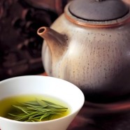 什么是秦巴雾毫