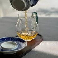 贡菊苦正常吗