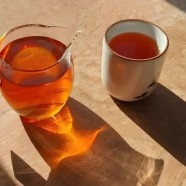 建阳白茶属于什么档次